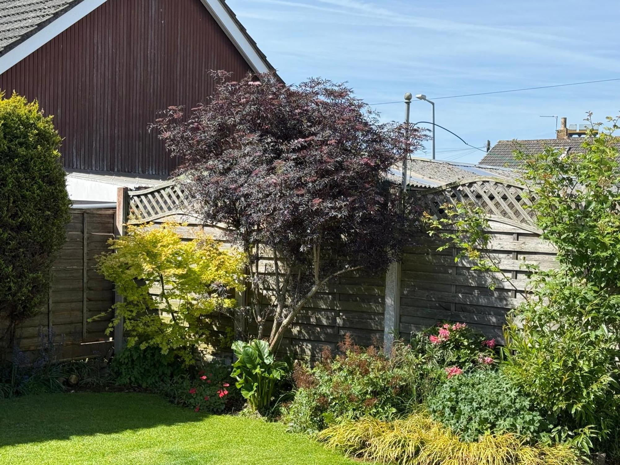 Linden Ave Bungalow Thornton  Εξωτερικό φωτογραφία